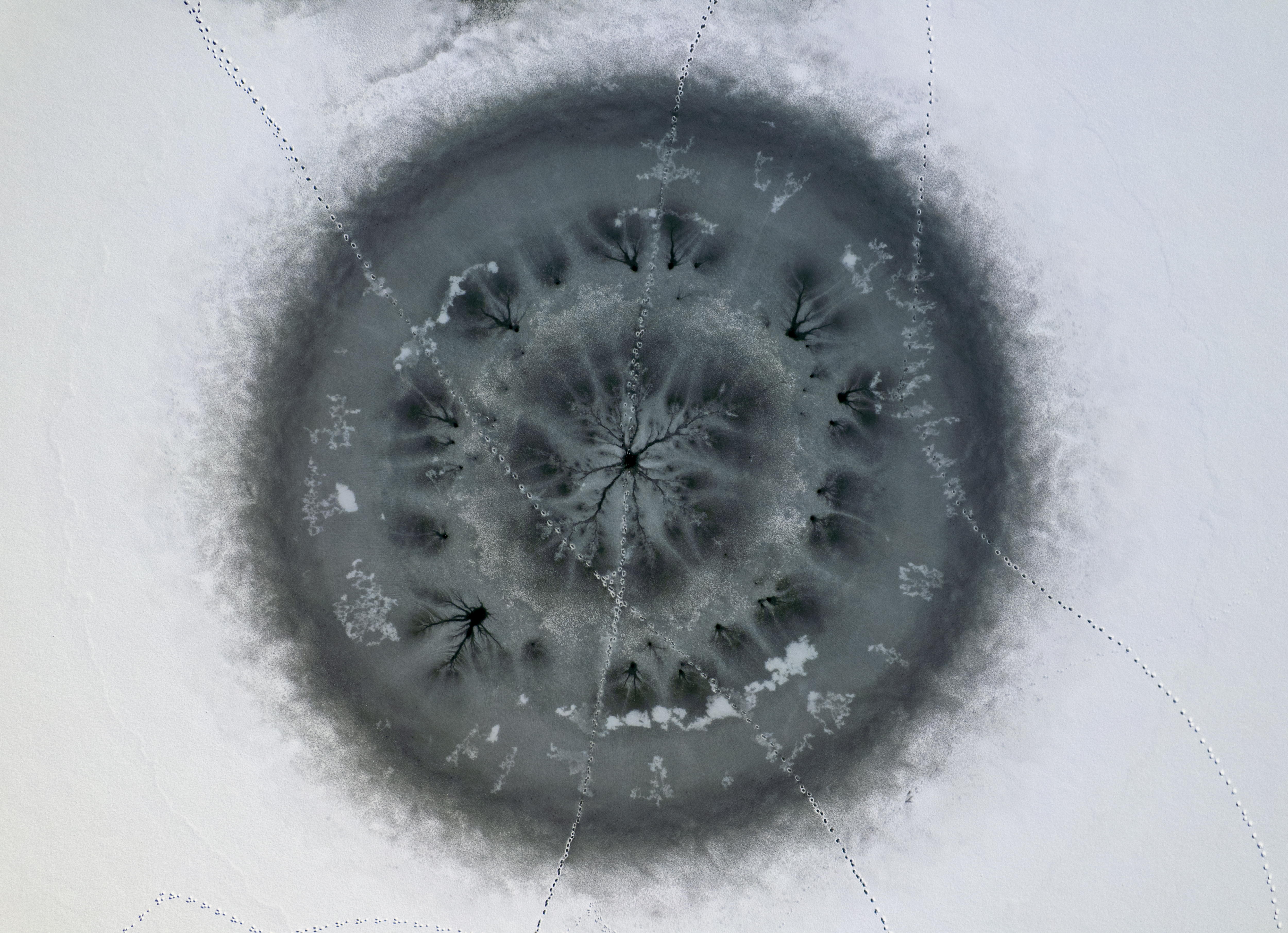 A circular frozen wetland pattern appears in pale ice.