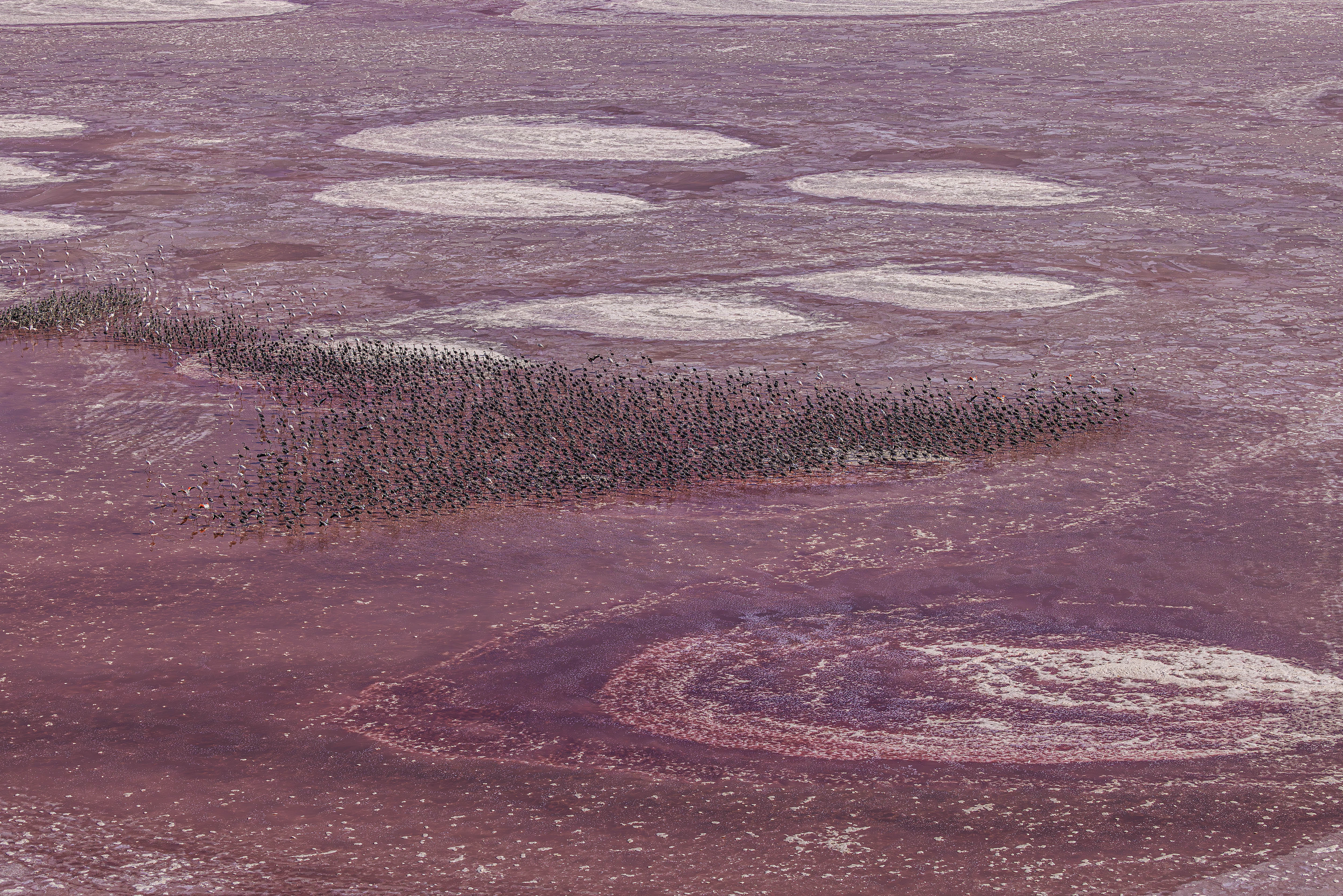 Aerial view of patterned wetland flats