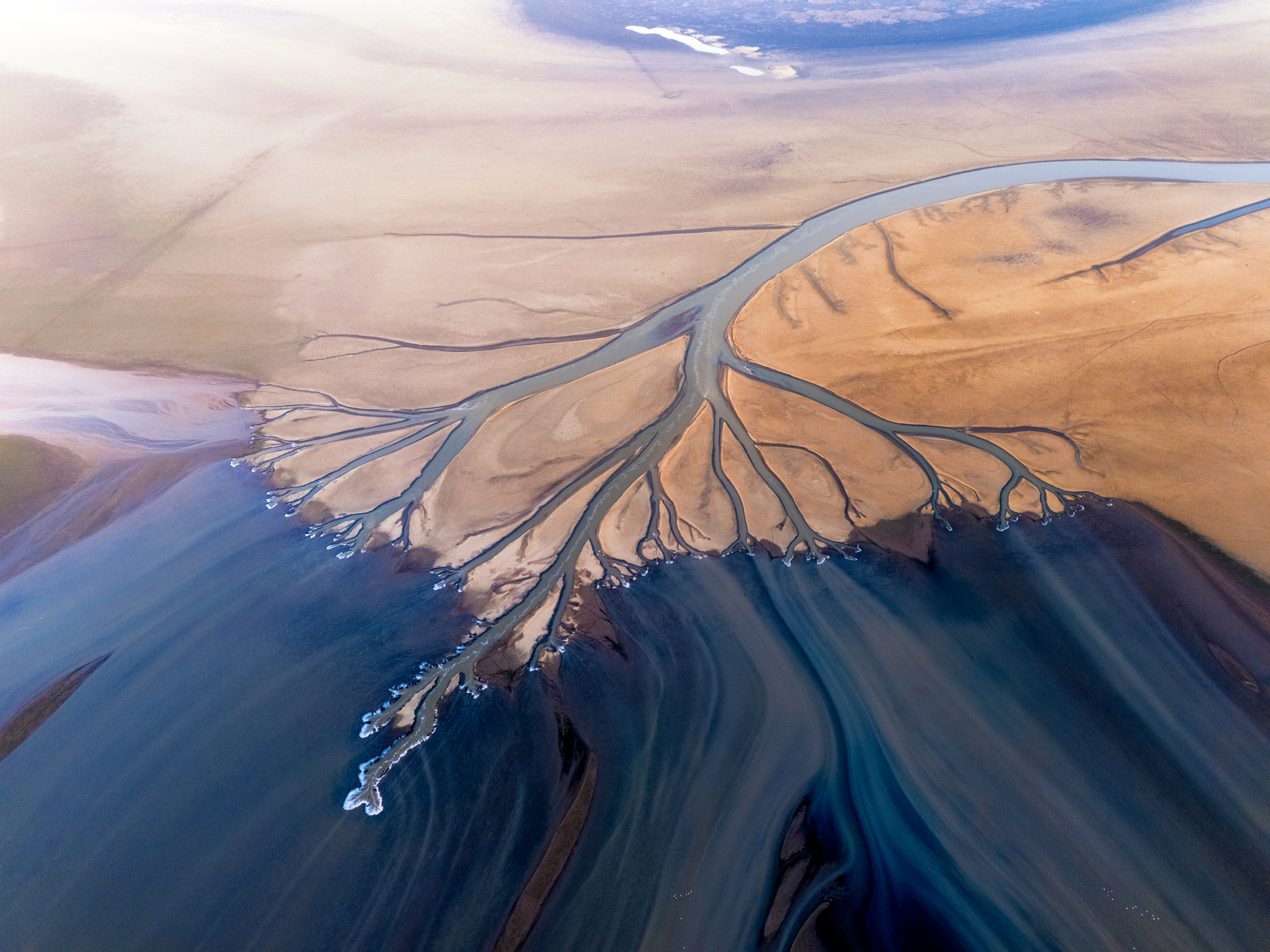 Branching channels across colorful wetland landforms