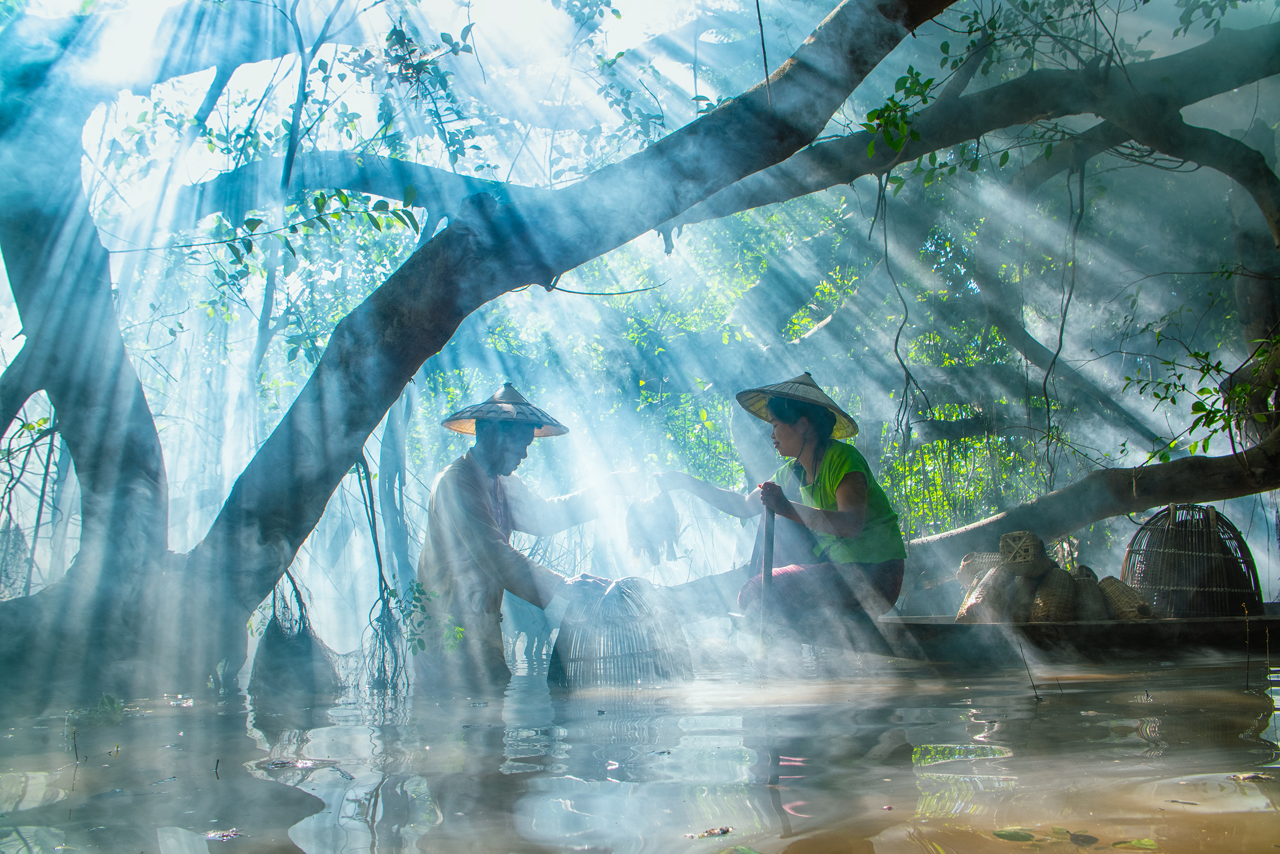 People moving through a blue-green wetland forest